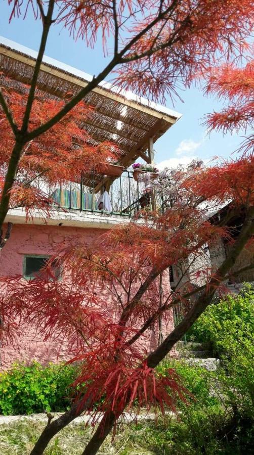 La Casa Rosa Di Segusino With Spa Jacuzzi In Garden Sequsino Екстер'єр фото